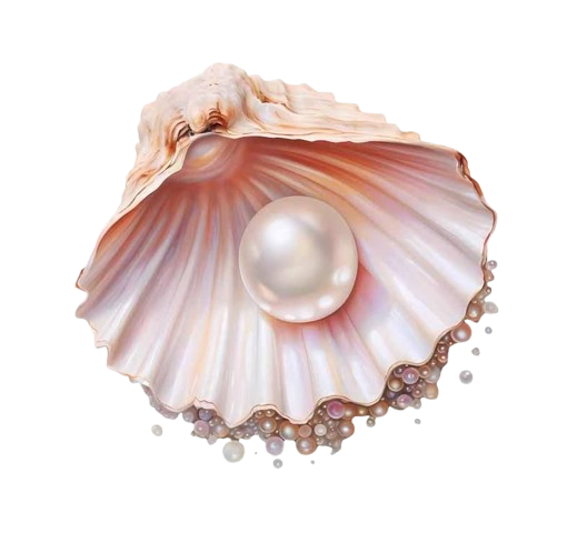 پکیج مروارید